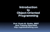 JAVA Object Oriented Programming (OOP)