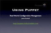Using Puppet - Real World Configuration Management