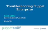 Troubleshooting the Puppet Enterprise Stack