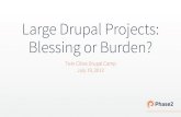 Large Drupal Projects: Blessing or Burden?