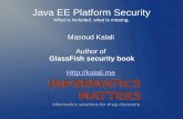 Security in java ee platform: what is included, what is missing