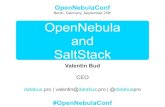OpenNebula and SaltStack - OpenNebulaConf 2013