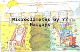 Microclimates by y7 margays