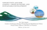 Opportunity and Risk of REDD+, Green Economy, and Sustainable Development