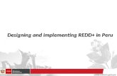 Designing and implementing redd+ in peru unfccc bonn 2011
