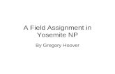 Field assignment in yosemite