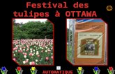 Festival des tulipes à Ottawa 2010