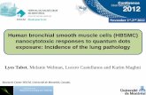 Lyes tabet_Human bronchial smooth muscle cells and nanocytotoxic responses to quantum dots exposure incidence of lung pathology