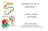 Protein & amino acid (ulivina pratini)