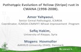 Pathotypic Evolution of Yellow (Stripe) rust in CWANA (1998-2008)
