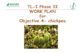 38 Rajeev Varshney Tli Objective4 Phase Ii Work Plan