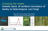 Cracking the Codes: Genetic Basis of Nonhost Resistance of Barley to Heterologous Rust Fungi