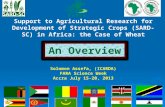 Support to Agricultural Research for Development of Strategic Crops in Africa: the Case of Wheat