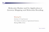 Molecular marker and its application to genome mapping and molecular breeding