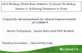 Capacity Development for Wheat Improvement at CIMMYT