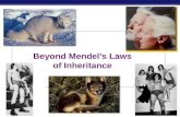 Chapter 15 - Beyond Mendelian Genetics