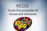 Kegg database resources