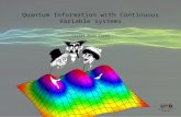 Quantum Information with Continuous Variable systems