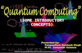 Quantum Computing - Basic Concepts