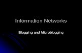 Information Networks: Blogs and Microblogs
