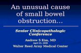 Small Bowel Obstruction