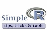 SimpleR: tips, tricks & tools