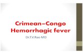 Crimean–congo hemorrhagic fever