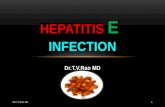 Hepatitis E infection