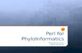 Perl for Phyloinformatics