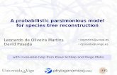 A probabilistic parsimonious model for species tree reconstruction