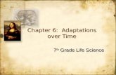 Chapter 6 section 2 (clues about evolution)