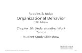 Understanding work teams ob13 10