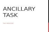 Ancillary task (new)