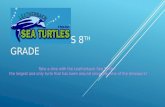 Leatherback sea turles english class 8th grade