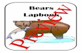 Bears Lapbook (Preview)