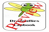 Dragonflies Lapbook Preview