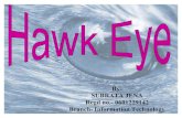 35590642 hawk-eye-power-point-presentation
