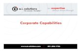 2009 Ai Solutions Capabilities