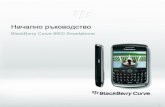 Ръководство на потребителя BlackBerry Curve 8900