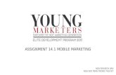 Young marketers   elite - assignment 14.1 - thuyet, van