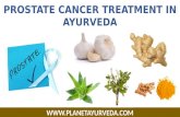 Cancer of Prostate and its Treatment in Ayurveda