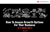 How to Assess Growth Options