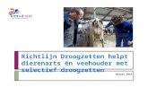 Richtlijn Droogzetten helpt dierenarts én veehouder met selectief droogzetten Najaar 2013.