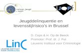 Jeugddelinquentie en levensstijlrisico’s in Brussel D. Cops & H. Op de Beeck Promotor: Prof. dr. J. Put Leuvens Instituut voor Criminologie.