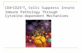CD4 + CD25 + T R Cells Suppress Innate Immune Pathology Through Cytokine- dependent Mechanisms.