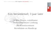 Een hersenletsel; 3 jaar later Wilma Ritzen, coördinator Hersenletselteam Limburg iRv,Kenniscentrum Revalidatie en Handicap.