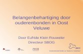 Belangenbehartiging door ouderenbonden in Oost Veluwe Door Eufride Klein Rouweler Directeur SBOG.