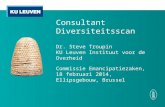 Consultant Diversiteitsscan Dr. Steve Troupin KU Leuven Instituut voor de Overheid Commissie Emancipatiezaken, 18 februari 2014, Ellipsgebouw, Brussel.