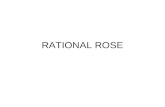 RATIONAL ROSE. Met Rational Rose levert IBM dé ontwikkeltool voor UML (Unified Modeling Lagauage), de ontwikkeltaal van nu. Rose kan worden toegepast.