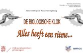 Zesendertigste Nascholingsdag Stichting Nascholing Bedrijfs- en Verzekeringsartsen Noord Nederland.